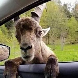 Meet your Posher, Kevin